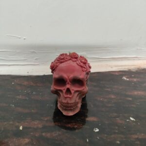 Ancestral Wisdom Skull